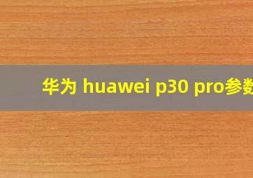 华为 huawei p30 pro参数